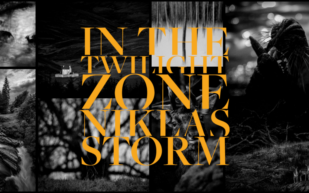 In the twilight zone – utställningar