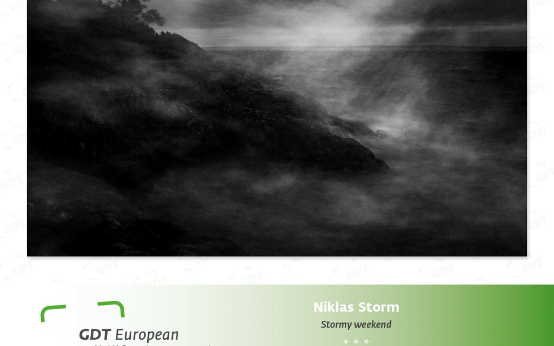 Niklas Storm prisbelönt vid European Wildlife Photographer of the Year 2023